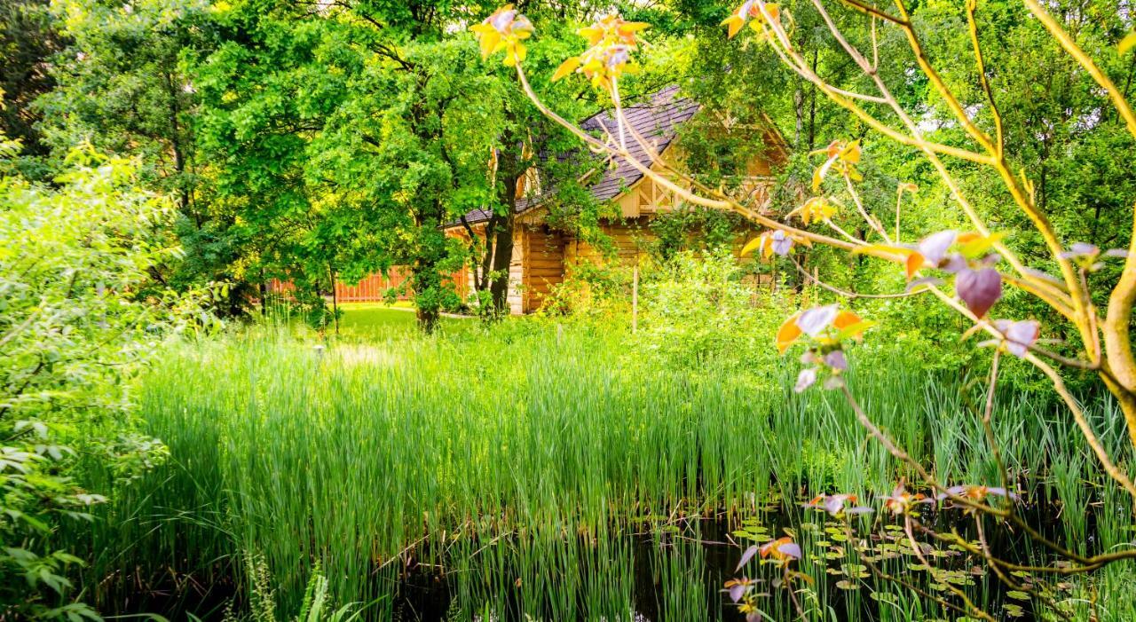 Villa Sucholand Miedziana Góra Exterior foto