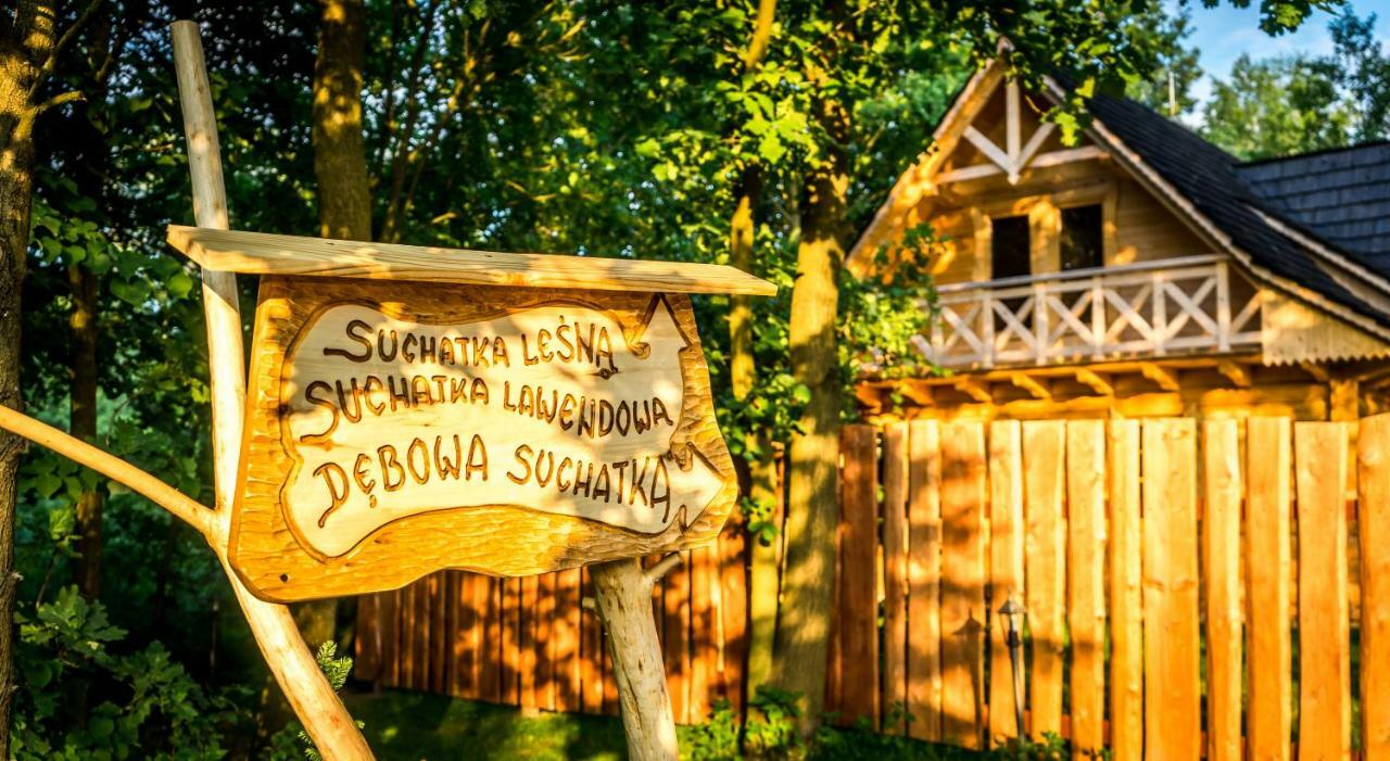 Villa Sucholand Miedziana Góra Exterior foto